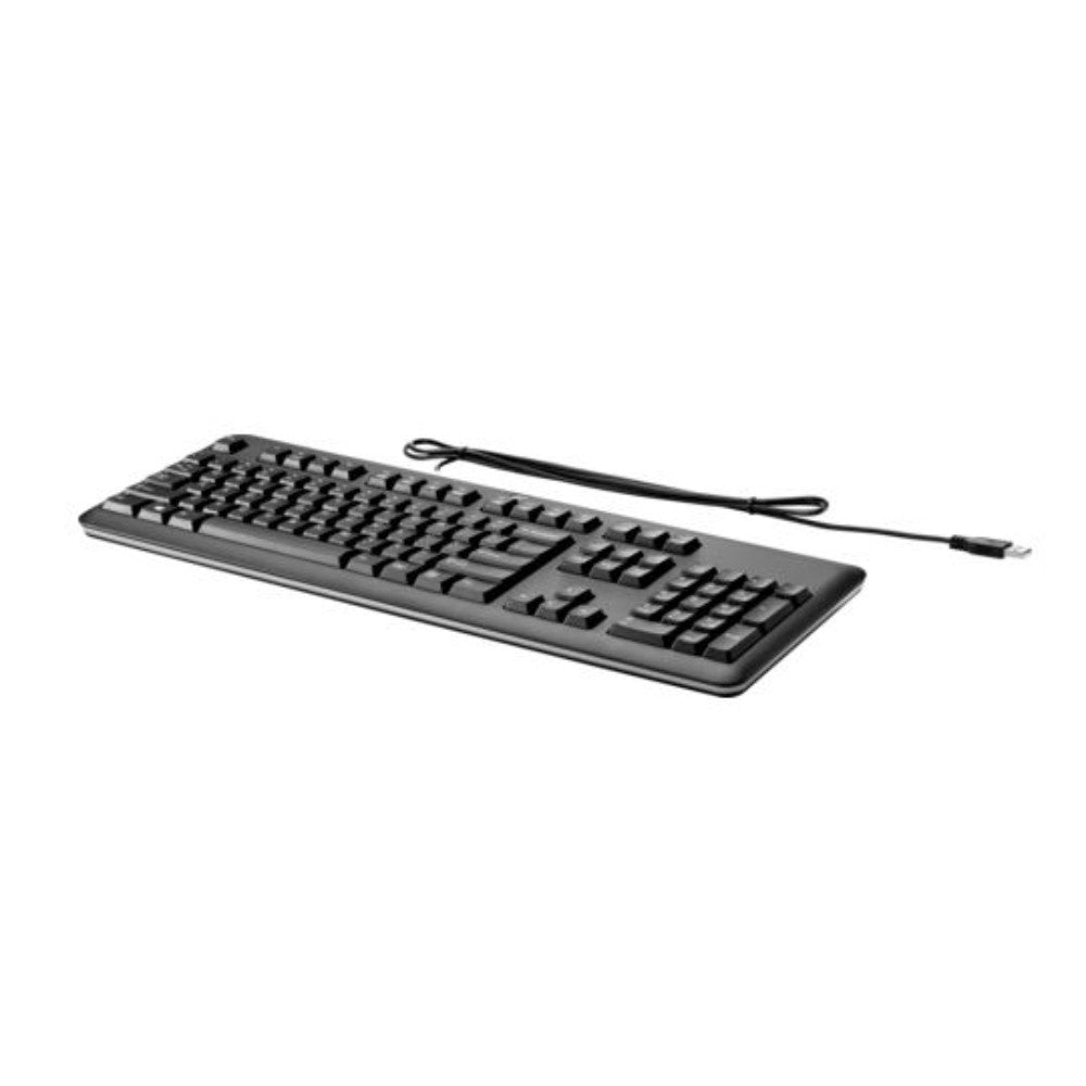 Hp Usb Keyboard Black QY776AA