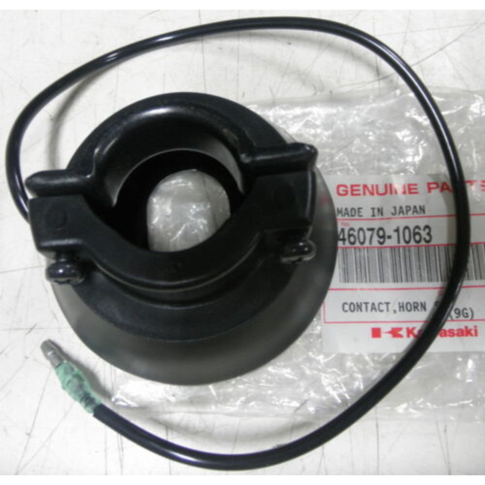 Contact Horn Switch 46079-1063