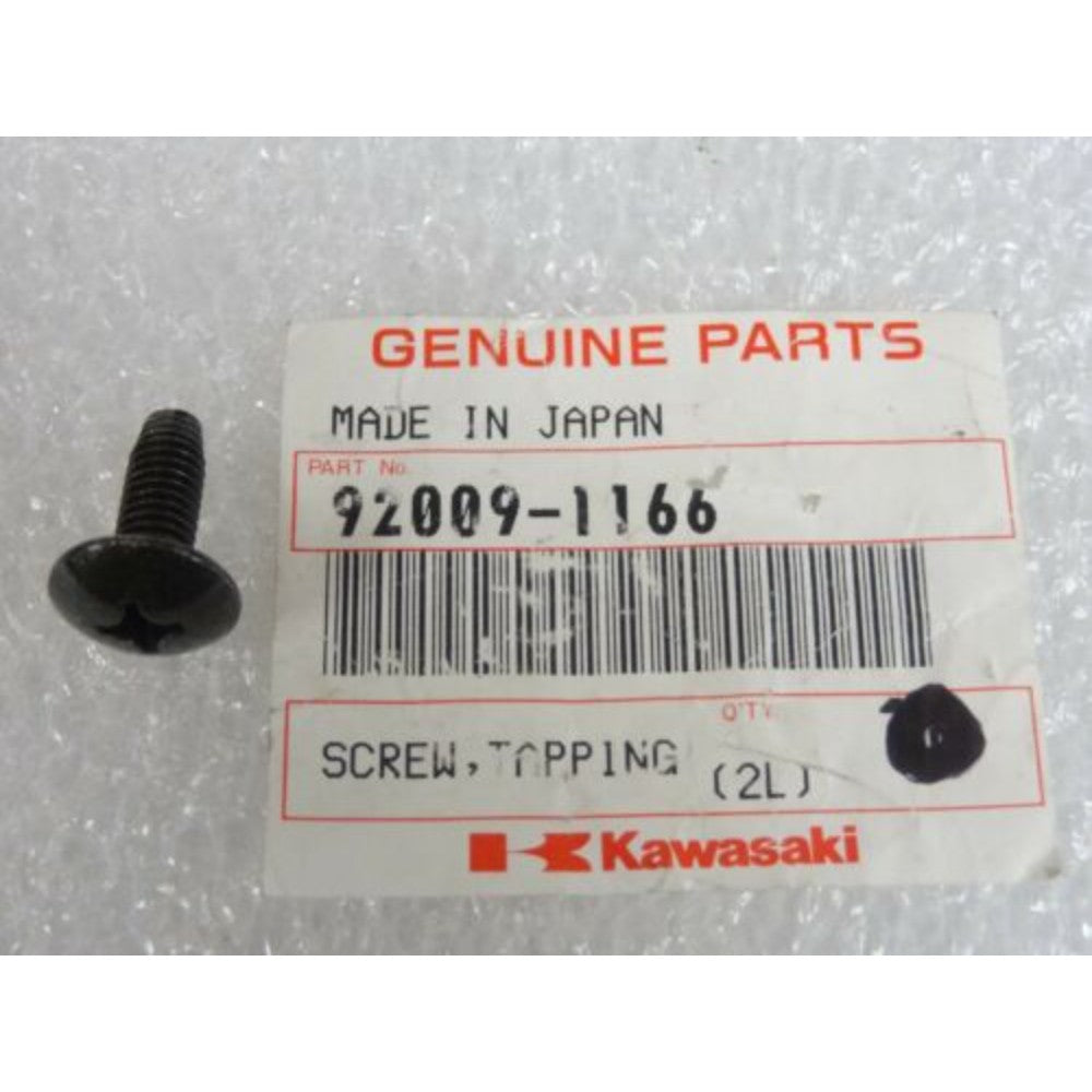 Screw Tapping 6X16 92009-1166