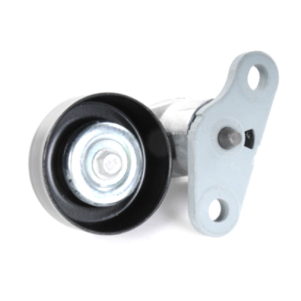 Tensioner Drive 12580196