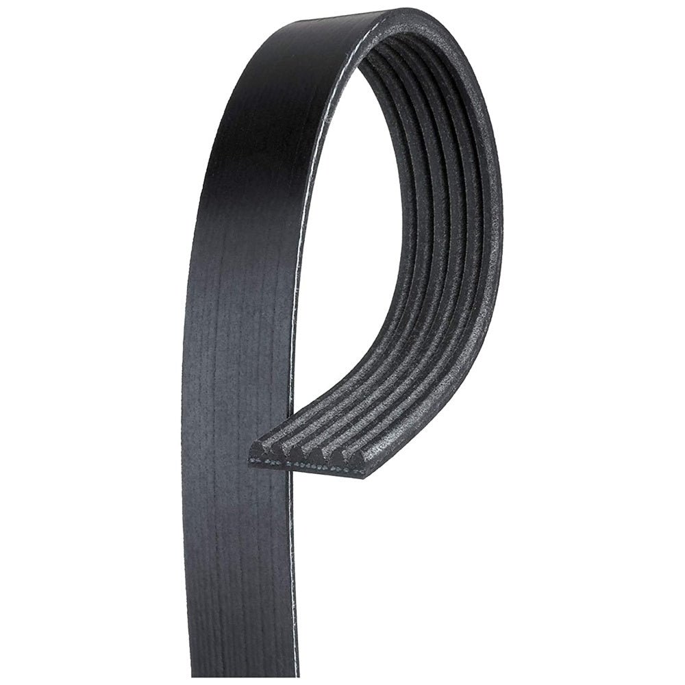 Belt Micro-V, K060380