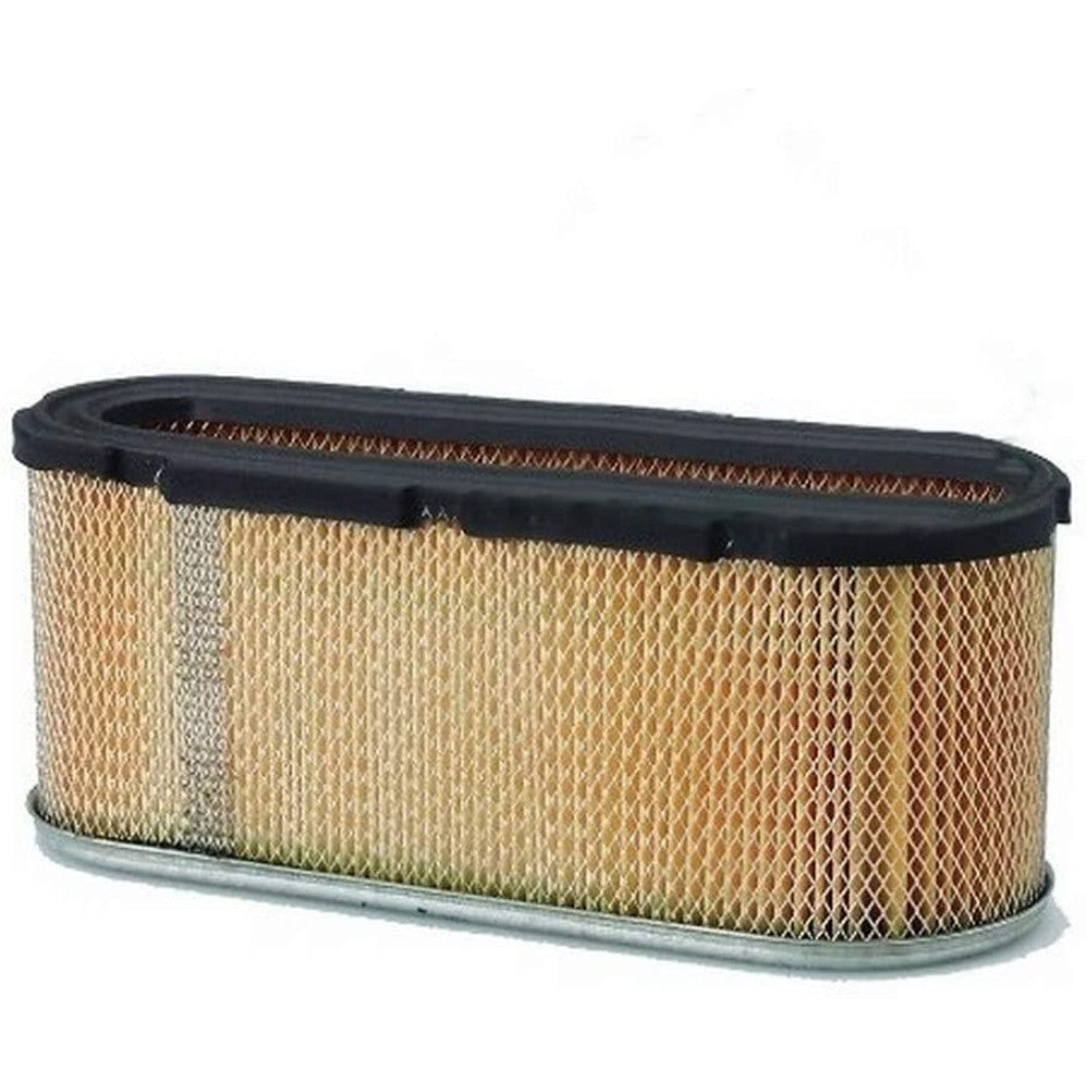 Briggs & Stratton Oval Air Filter Cartridge 496894S  5098K