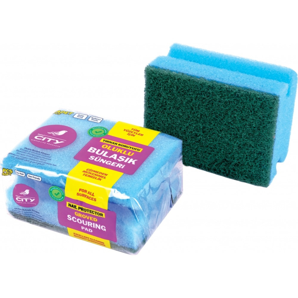 Dishes Sponge/ Bulasik Sungeri