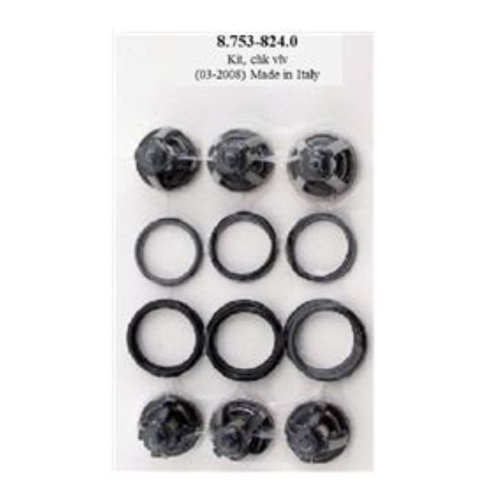 Valve Kit, 18 Components, 8.753-824.0, 87538240