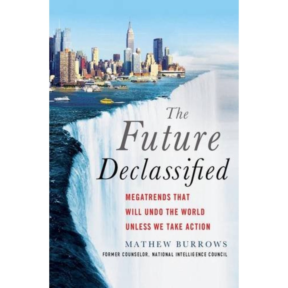 The Future Declassified: Megatrends That Will Undo The World Unless We Take Action, 9781137279552