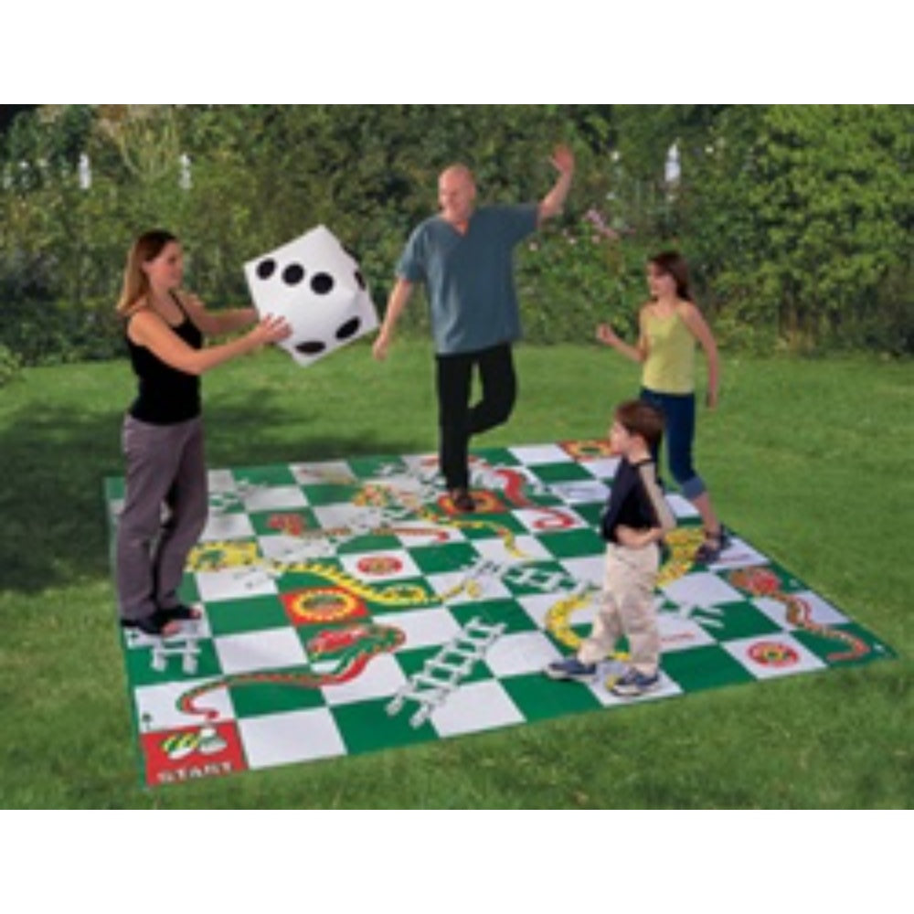Game Board Giant Snakes and Ladders