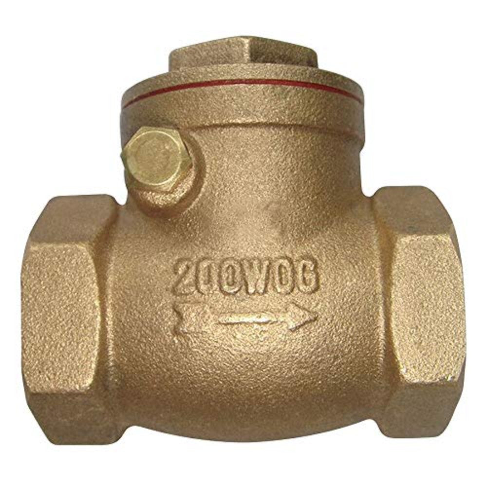 Valve, Check, Brass, 2"