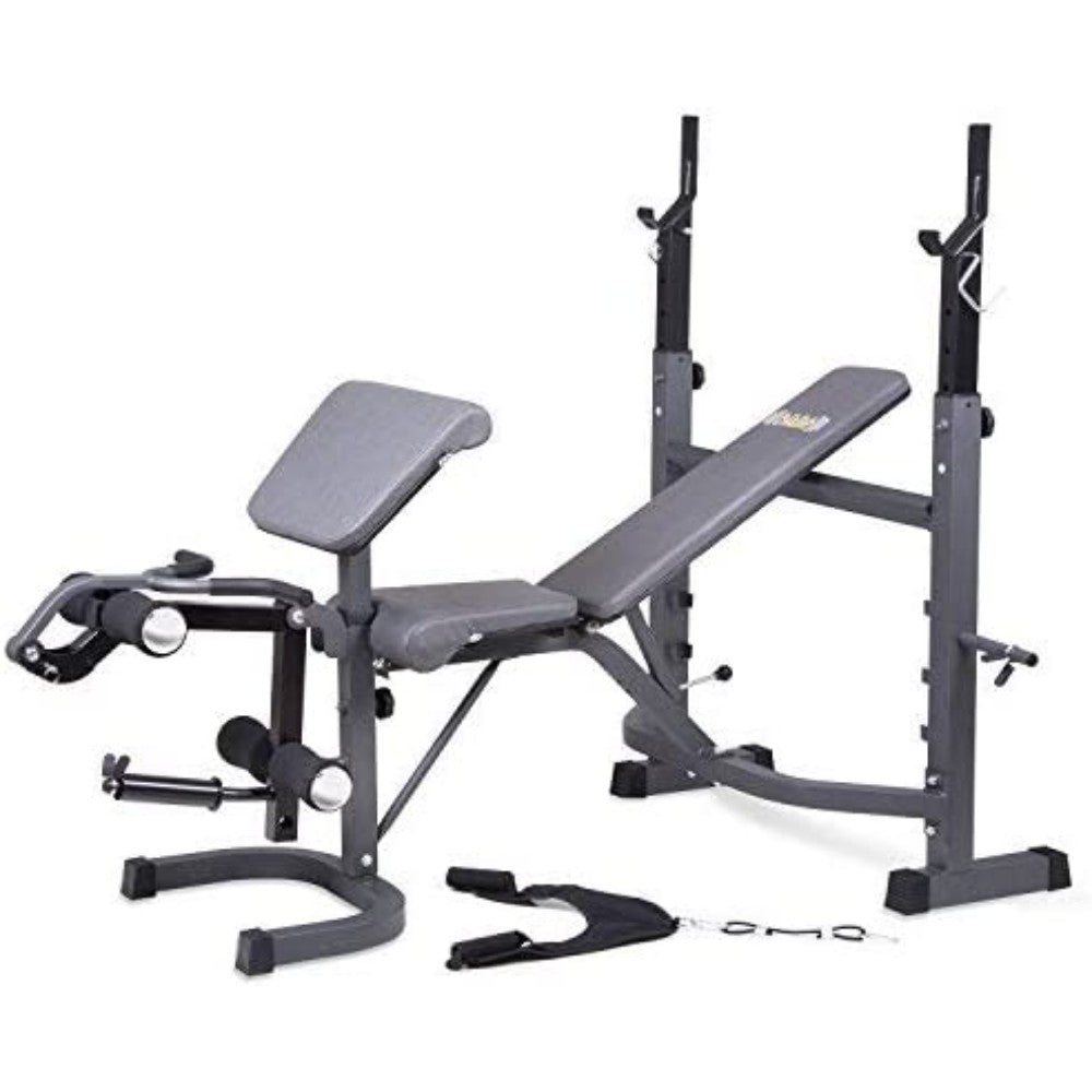 Exercise Machine, Gymnastic, Biceps Curl, Metal, Platinum, 45 X 41 X 55 Inches HS-BC