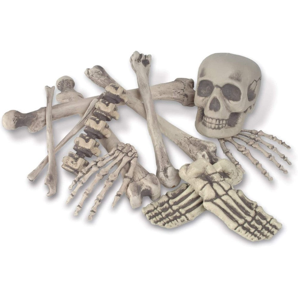 Bag Of Bones, Set Of 12 Bones HWNBBO