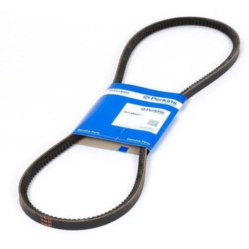 Belt, Alternator, 250 X 20 X 300 Mm